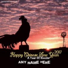 Chinese New Year A Year Of Rooster 2017