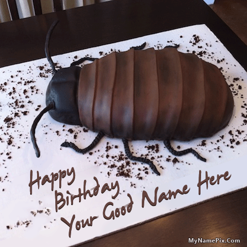 These Fondant-made Lizard & Cockroach Cakes Are Disgustingly Realistic