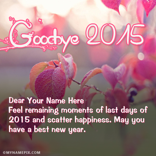 Goodbye Year 2016 Best Wishes With Name