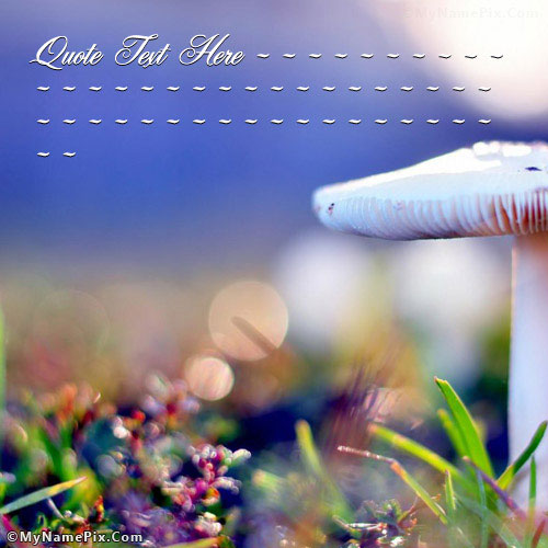 Beautiful Mushroom With Name