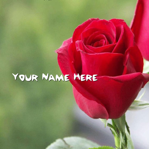 Red Rose With Name
